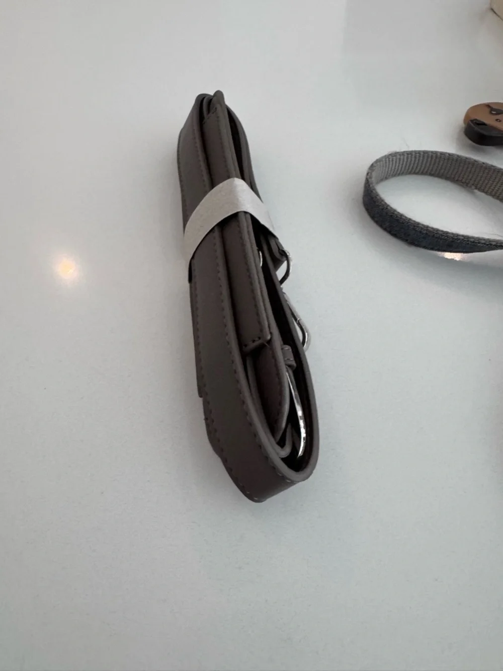 Miniature dog carrier with strap